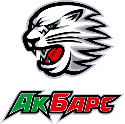 Ak Bars Kazan 2010-Pres Alternate logo iron on transfers for T-shirts